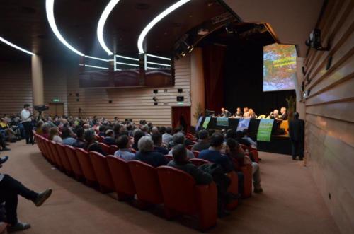 11224085_851172958264587_4248488103344995_o