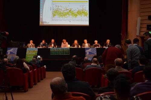 11884728_851172874931262_5427289944179775778_o